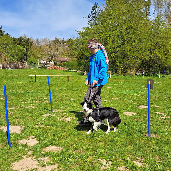 Hailey macht sich ausgesprochen gut als Blindenhund!